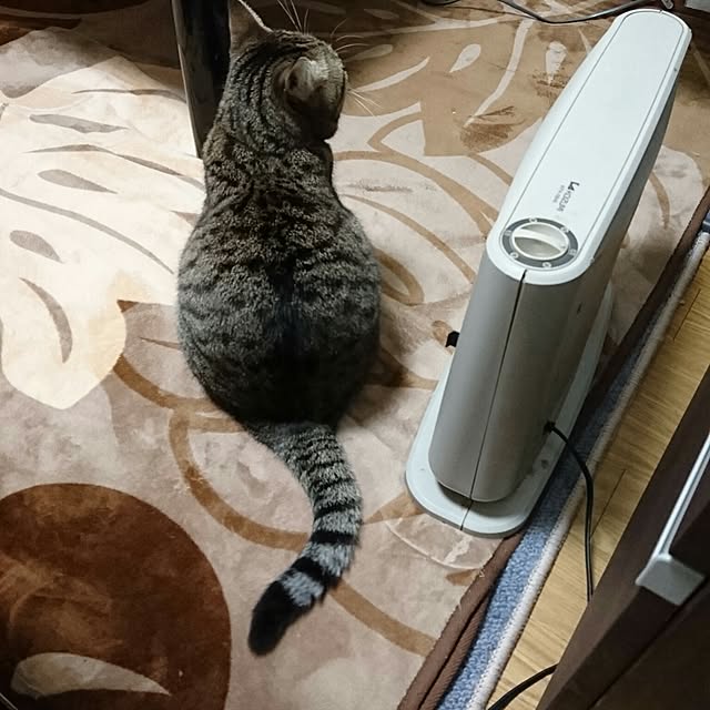 berariさんの実例写真