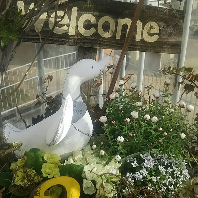 youkarinさんの実例写真