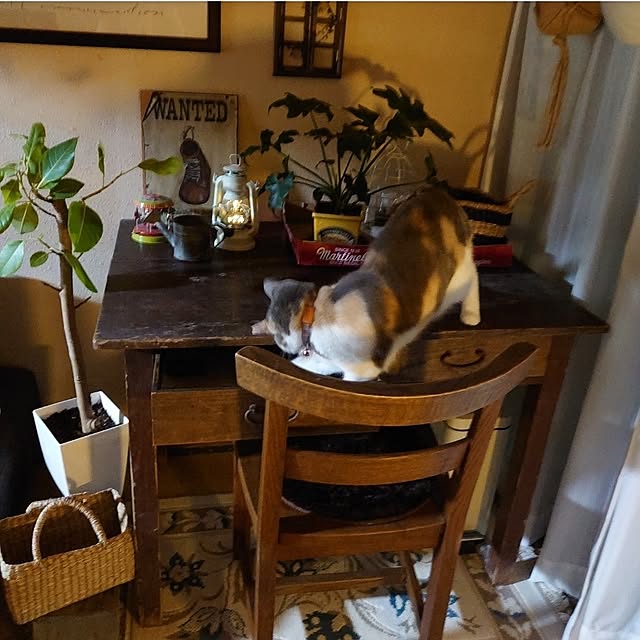 fukuさんの部屋