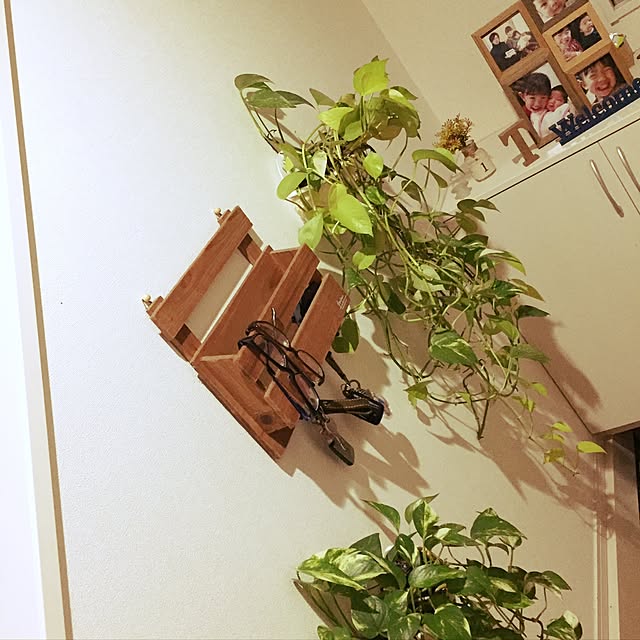 aoiroさんの実例写真