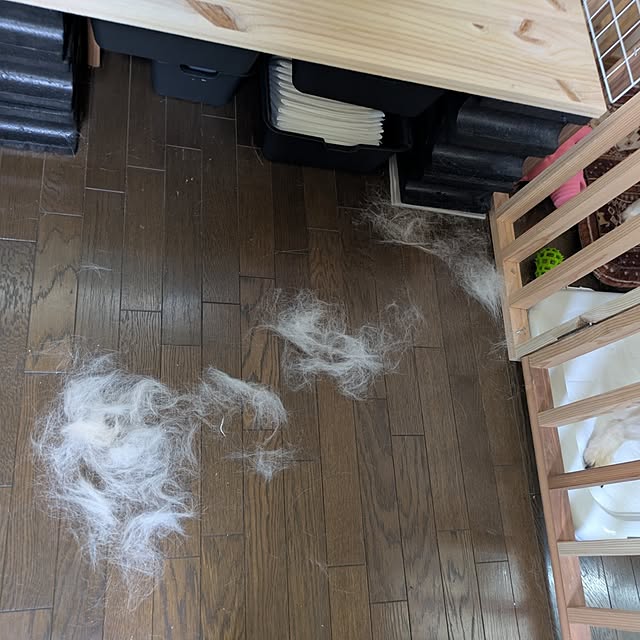 asaさんの実例写真