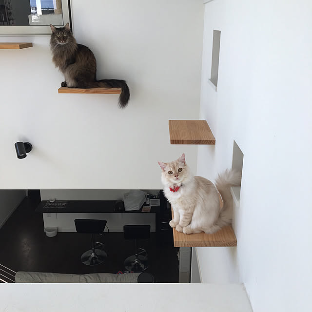 takiさんの実例写真