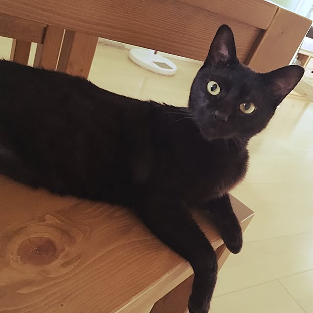 Kaoさんの実例写真