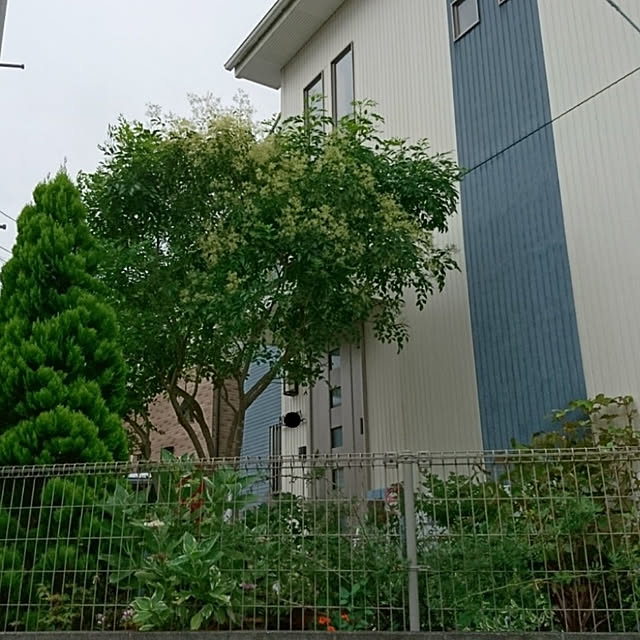 kohmarlさんの実例写真