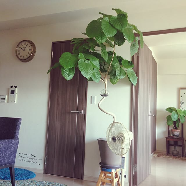 yuchiさんの実例写真