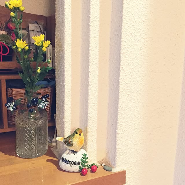 玄関/入り口/100均/観葉植物/雑貨のインテリア実例 - 2016-04-16 14:25:34