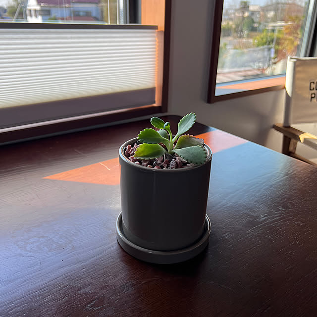pokowheeさんの部屋