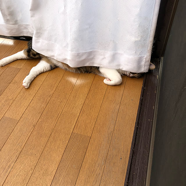 tf8332さんの実例写真