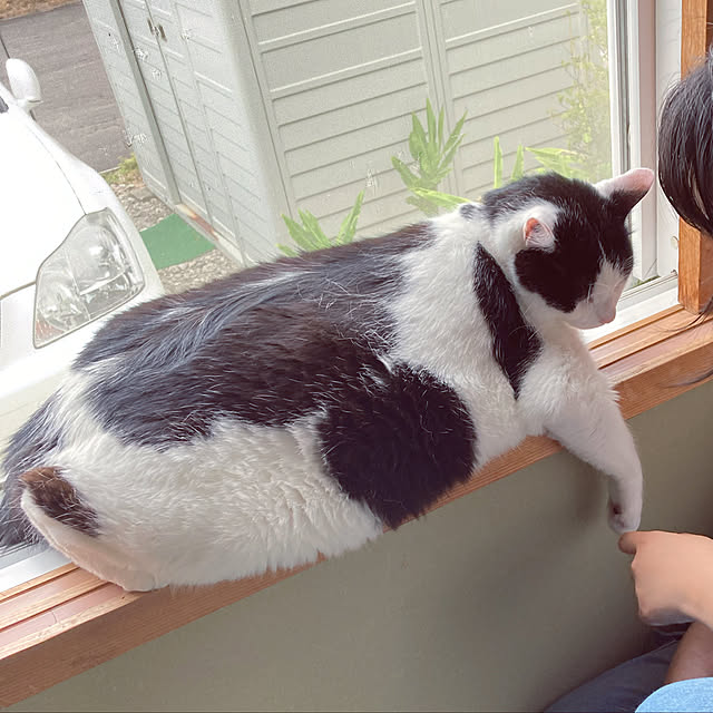 maikoさんの実例写真