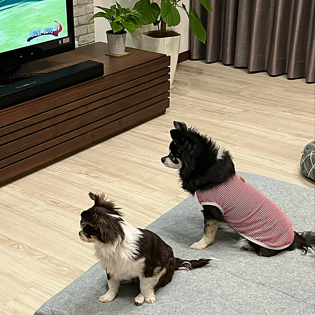 Hannahさんの実例写真