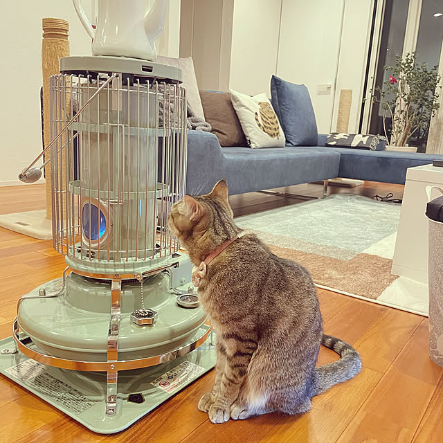 sayapiさんの部屋