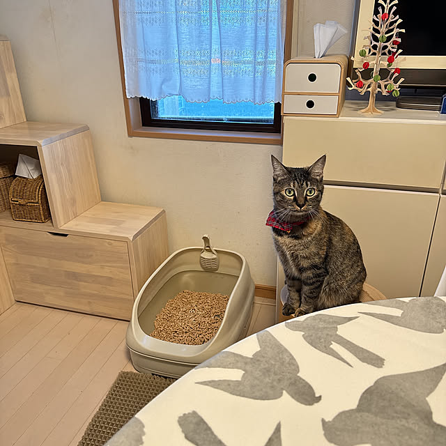 natsuさんの実例写真