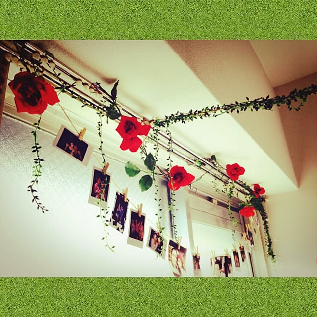 Tabithaさんの実例写真