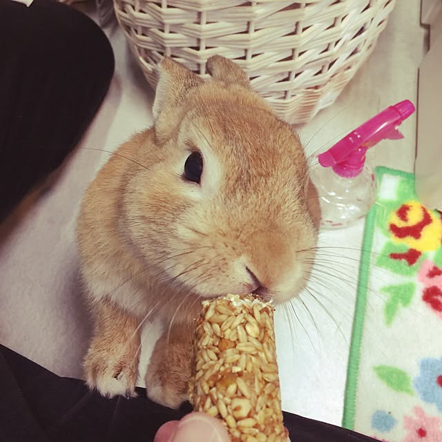 Yasuyukiさんの実例写真