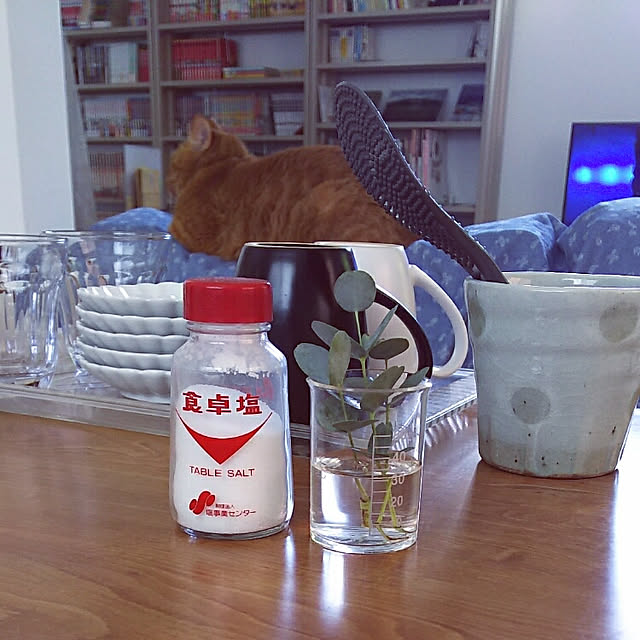 37さんの実例写真