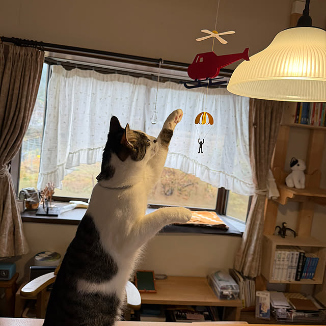 kuzumeganeさんの部屋