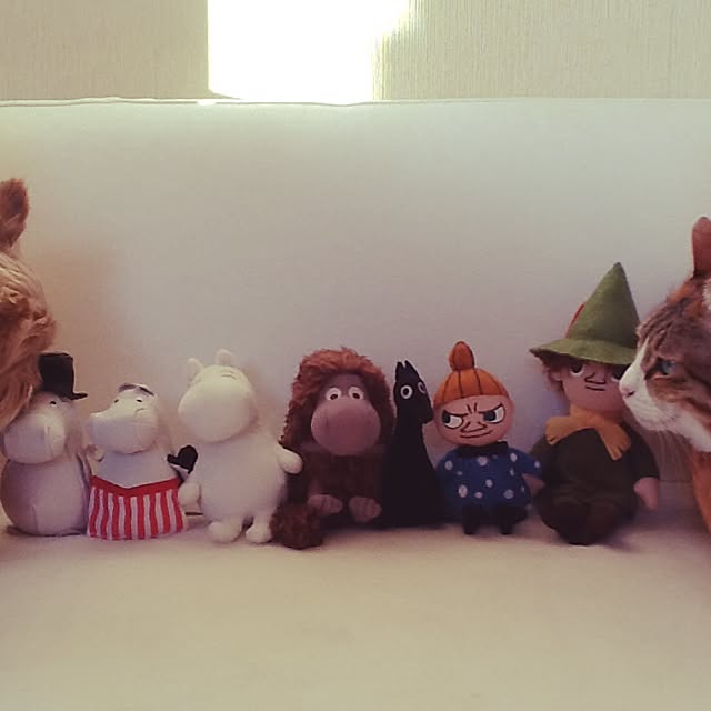 Mikaさんの実例写真