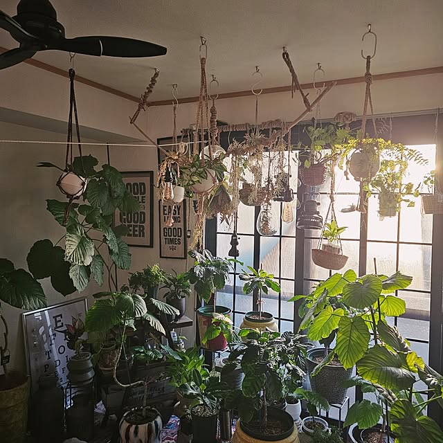 CYNOSさんの実例写真