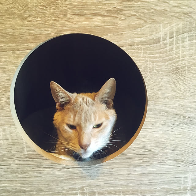 Kamさんの実例写真