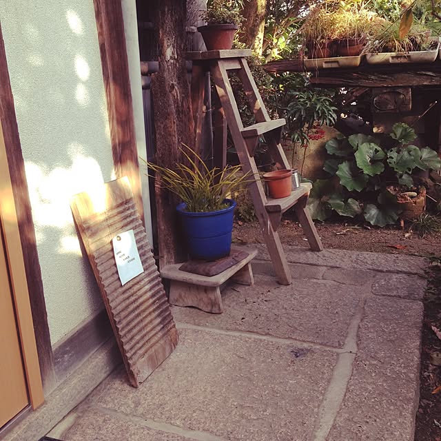 noriponさんの実例写真