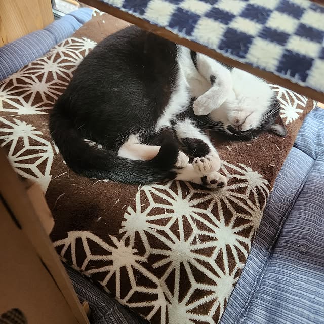 taroさんの実例写真