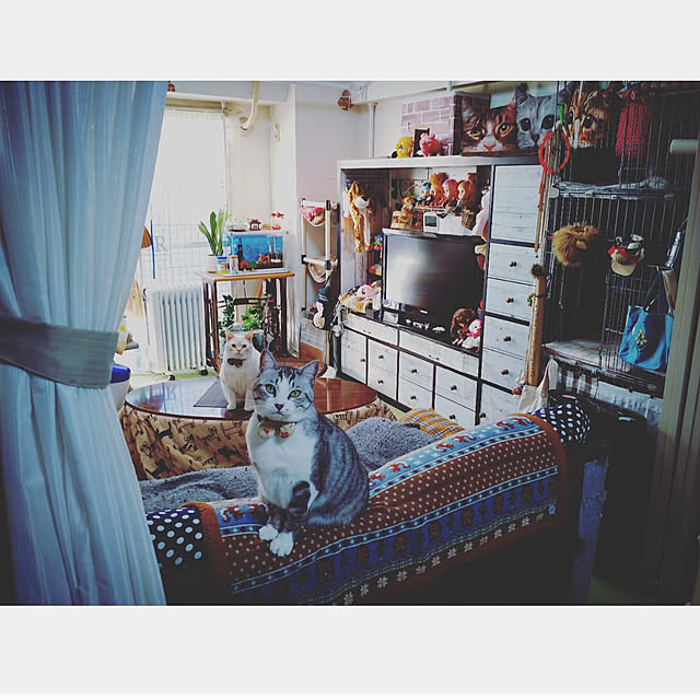mntcさんの実例写真