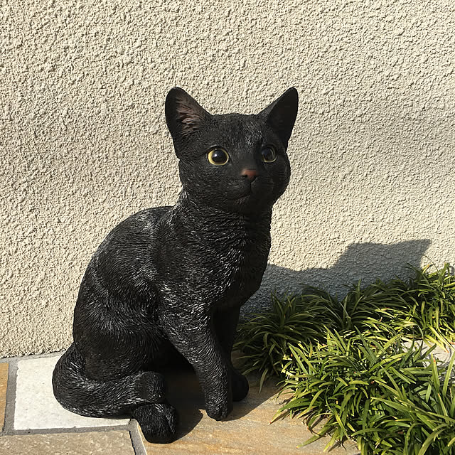 nanaさんの実例写真