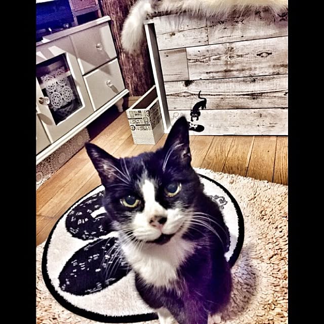 yunaさんの実例写真