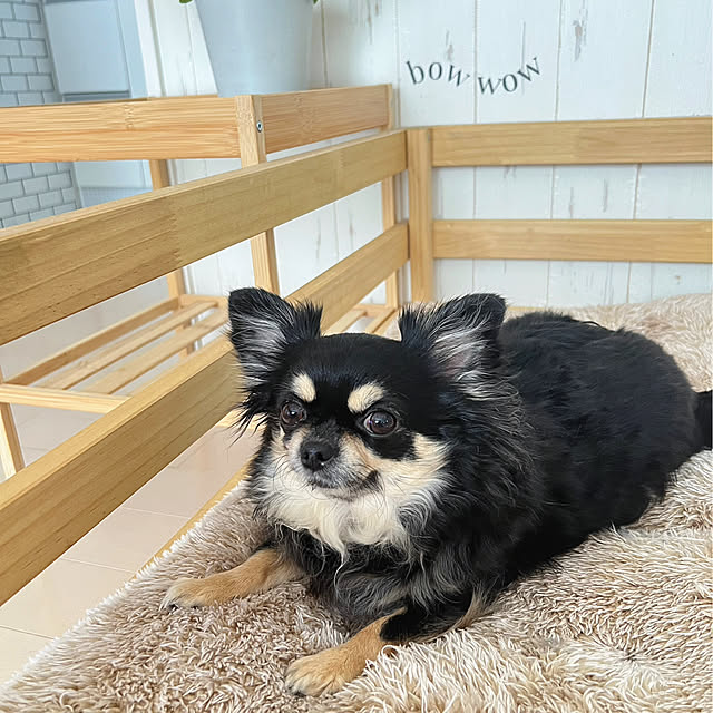 yumimaruさんの部屋