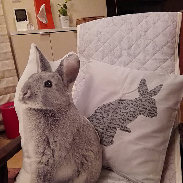 うさぎクッションのおすすめ商品とおしゃれな実例 | RoomClip うさぎクッションのおすすめ商品とおしゃれな実例 | RoomClip