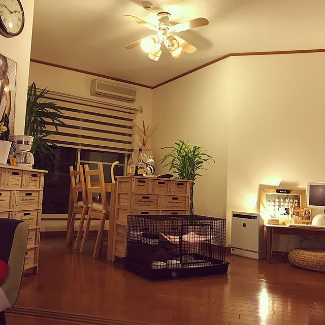 部屋全体/IKEA/北欧/観葉植物/ナチュラル...などのインテリア実例 - 2017-04-19 01:49:11