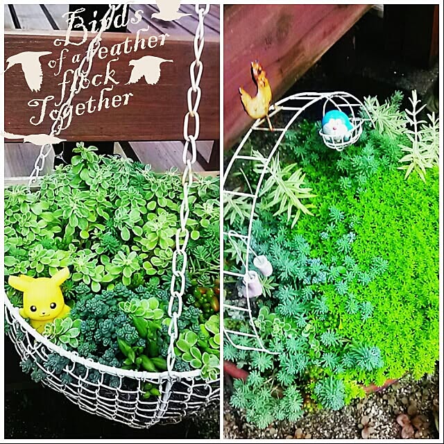 portulacaさんの実例写真