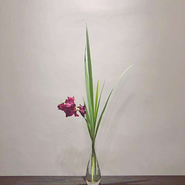 150091253さんの実例写真