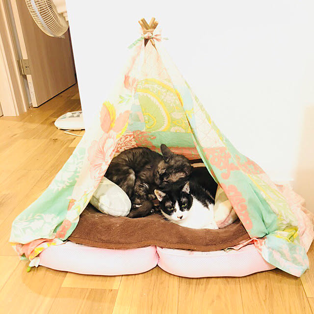 sakura_171220さんの実例写真