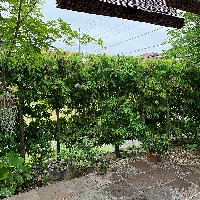 onsix777さんの部屋