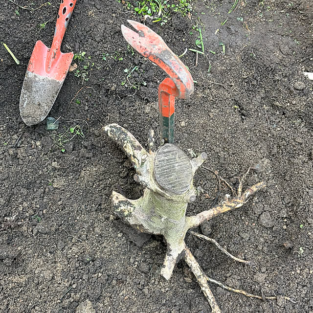 buchiさんの部屋