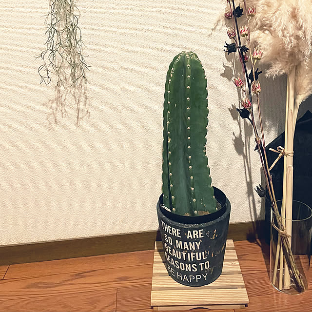 fukiさんの実例写真