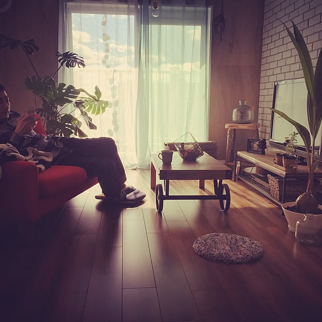 観葉植物/雑貨/ソファ/部屋全体のインテリア実例 - 2016-01-03 15:06:33