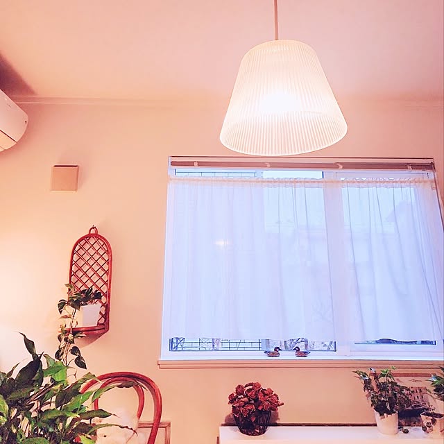 surviveさんの部屋
