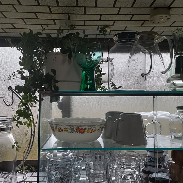 salacocoさんの部屋