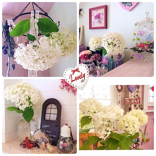 HappyRoseさんの実例写真