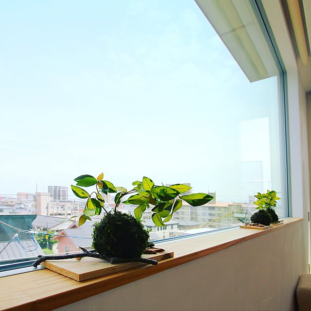 Norikoさんの実例写真