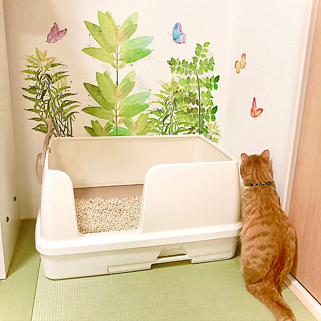 hitominさんの実例写真
