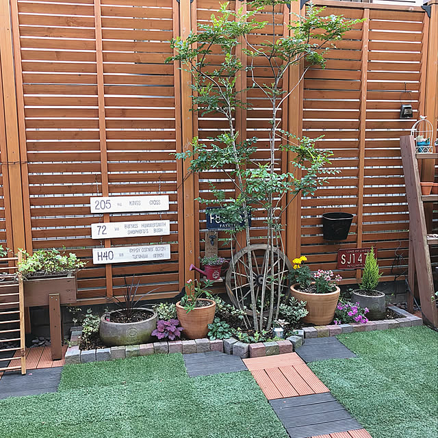 ANNAさんの実例写真
