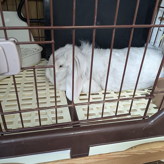 ciiiさんの部屋