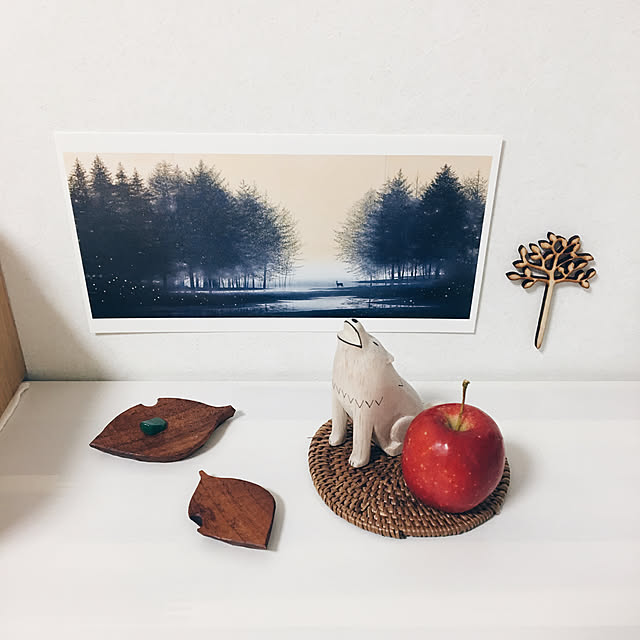 sodekowolfさんの実例写真