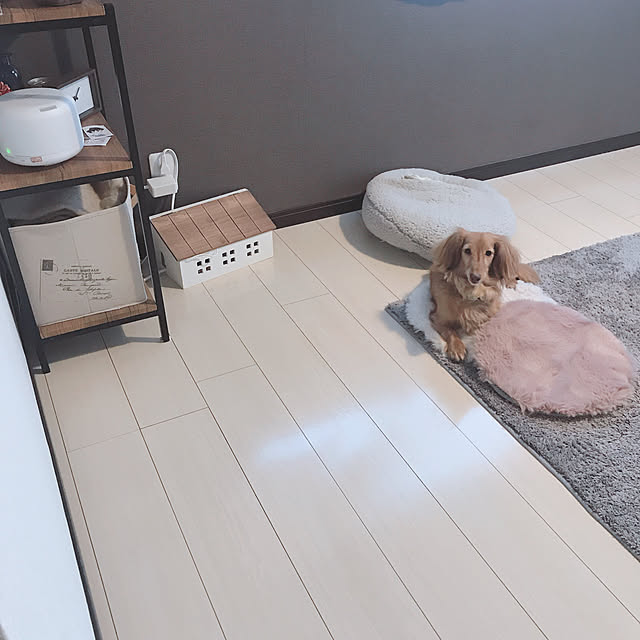 mohyonさんの実例写真