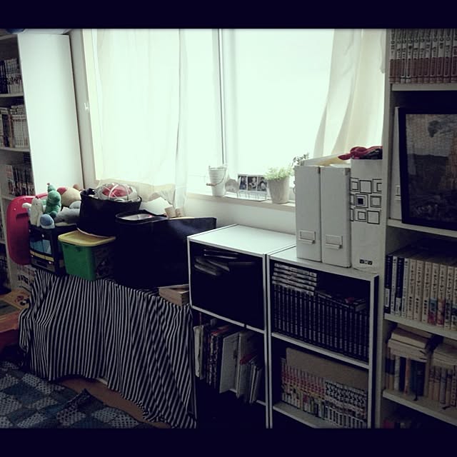 Megamouthさんの実例写真