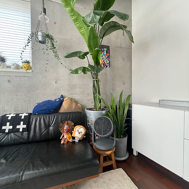 showheyheyさんの部屋