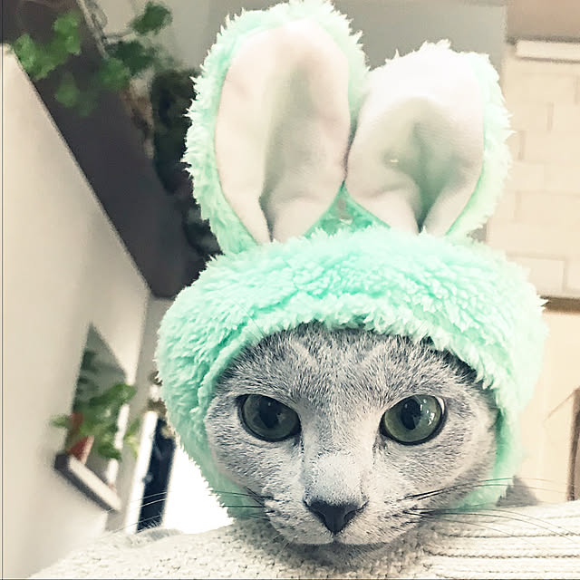 maaayonさんの実例写真